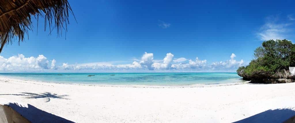 beach scene backdrop