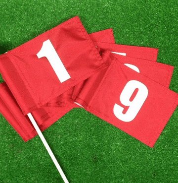 hand held flags